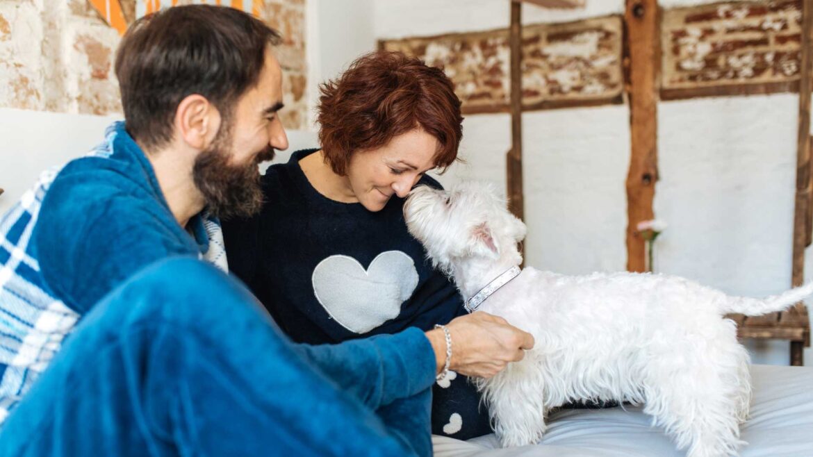 Adopting a furry friend.